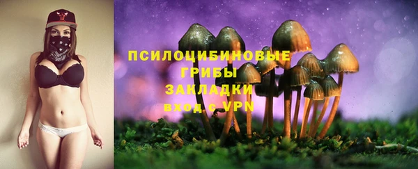 стаф Белоозёрский