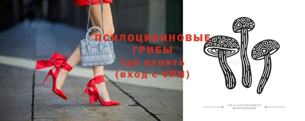 стаф Белоозёрский