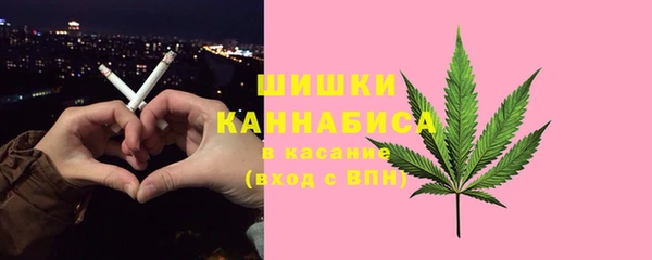 Альфа ПВП Белокуриха