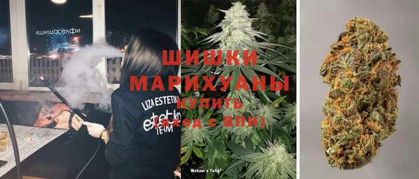 стаф Белоозёрский