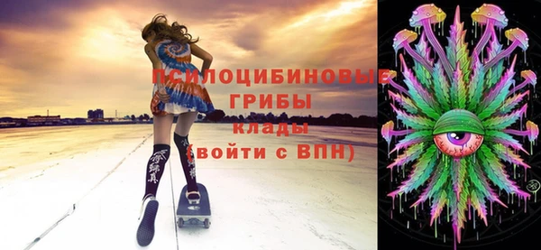 Альфа ПВП Белокуриха